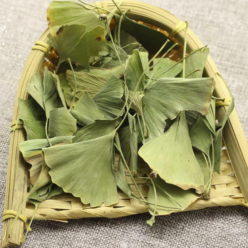 Ecology Herbal Green Tea Health Care Ginkgo Biloba Leaves Tea Chinese Ginkgo Tea