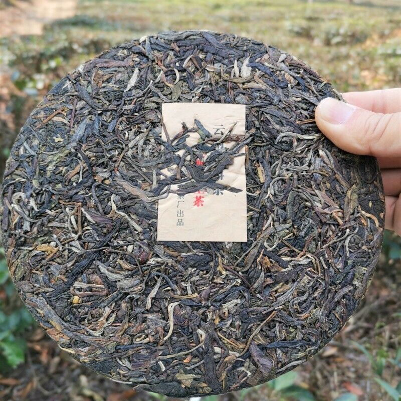 Early Spring Arbor Tea Classical Healthy Drink Authentic Yiwu Pu'er Tea 357g Main image