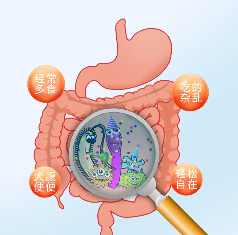 Freeze-dried Powder Children’s Intestinal Viable Solid Beverage Probiotics 40g