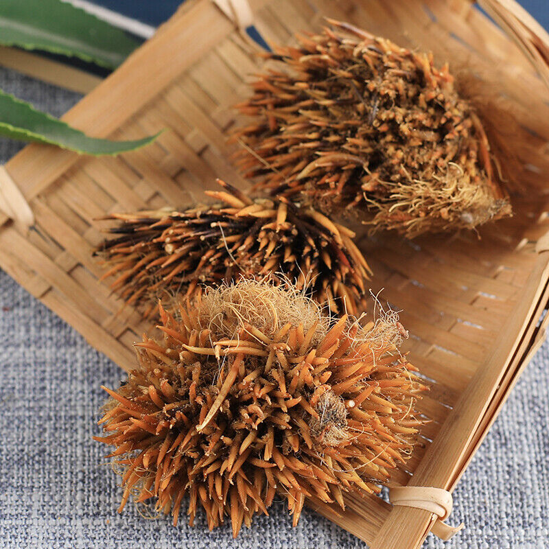 Ciweipi Healthy Care 100% Chinese Top-grade Authentic Hedgehog Skin 50g 正品刺猬皮