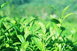 125g Fresh Natural China Black Oolong Tea Slimming Baked Tea Health Care Tieguanyin Tea