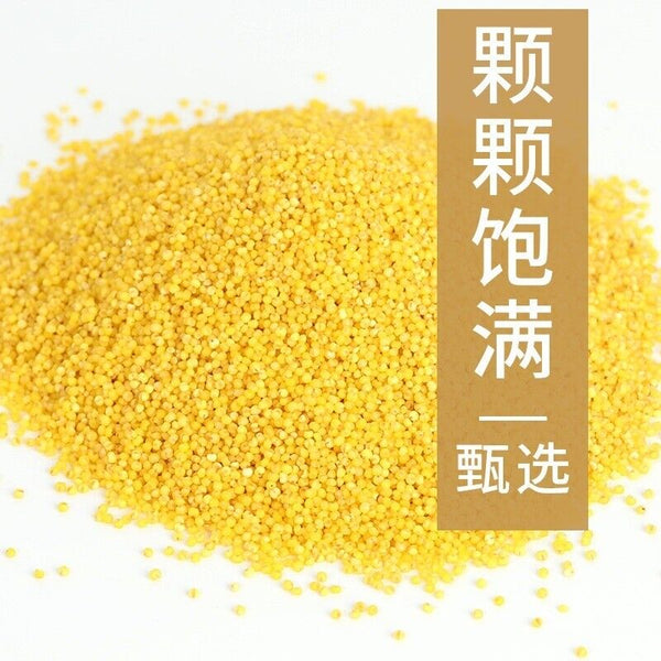 Yellow Millet Shandong Golden Millet He Lai Xiang Baby Children High-fiber 500g