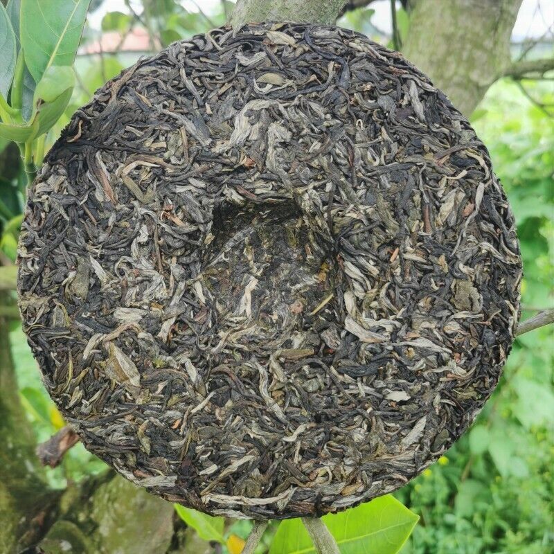 Pu'er Tea Zhonghong India Laobanzhang Cha Tea Brown Mountain Old Tree 357g
