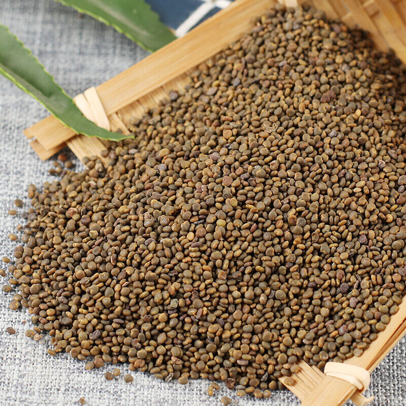 Top-grade Sha Wan Zi 100% Organic Healthy Herbal Tea  Health Care250g 沙宛子