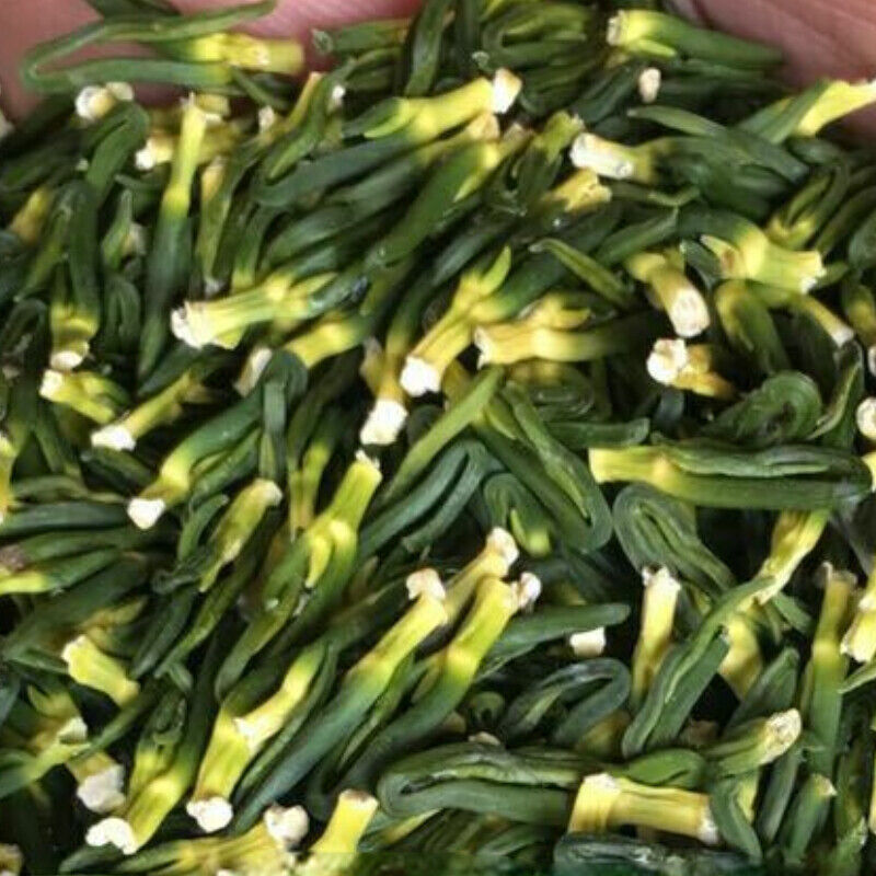 Organic Dried Lotus Plumule Lian Zi Xin Plumula Nelumbinis Natural Herbal Tea