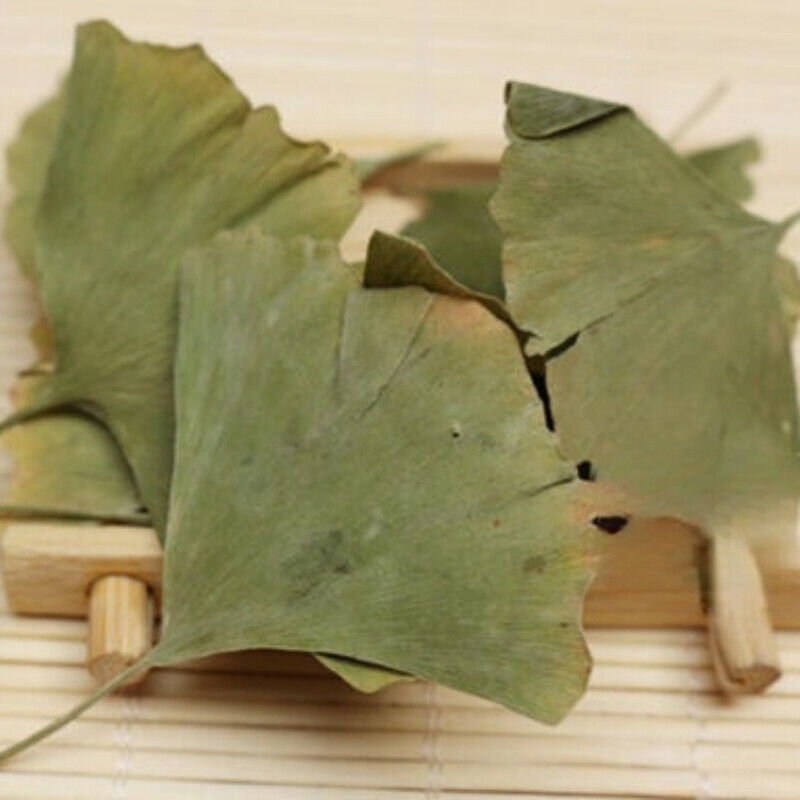 Ecology Herbal Green Tea Health Care Ginkgo Biloba Leaves Tea Chinese Ginkgo Tea Main image