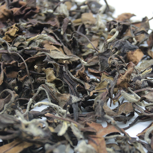 Organic Peony White Tea Jujube Aroma Tea Fuding White Tea Bulk Gaoshan 500g