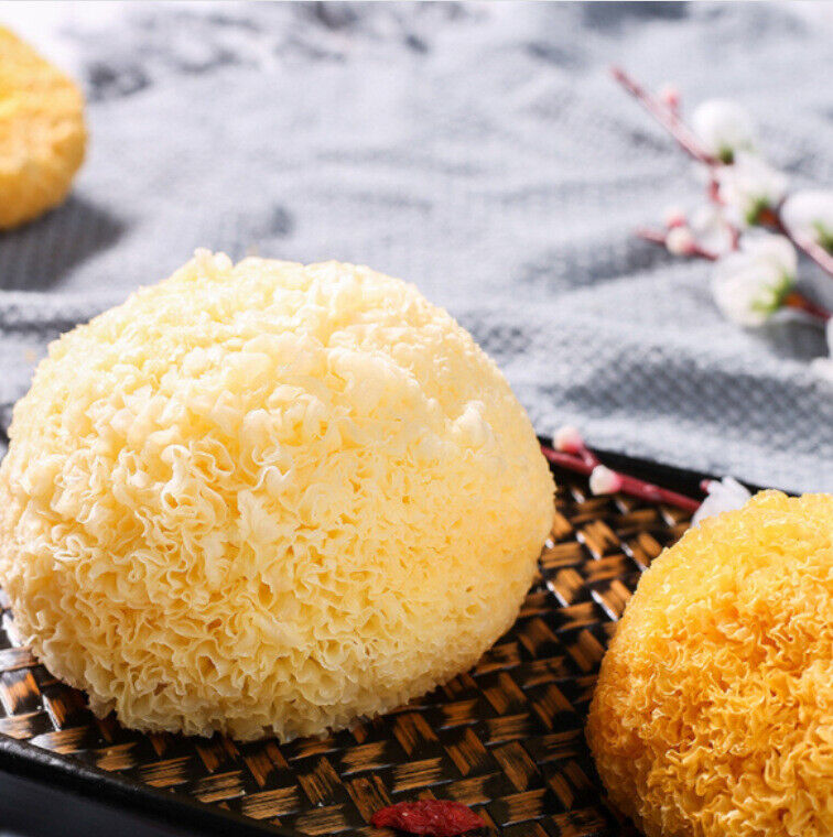 Snow Fungus Ball Edible Mushrooms Good for Health Great Tremella Fuciformis 100g