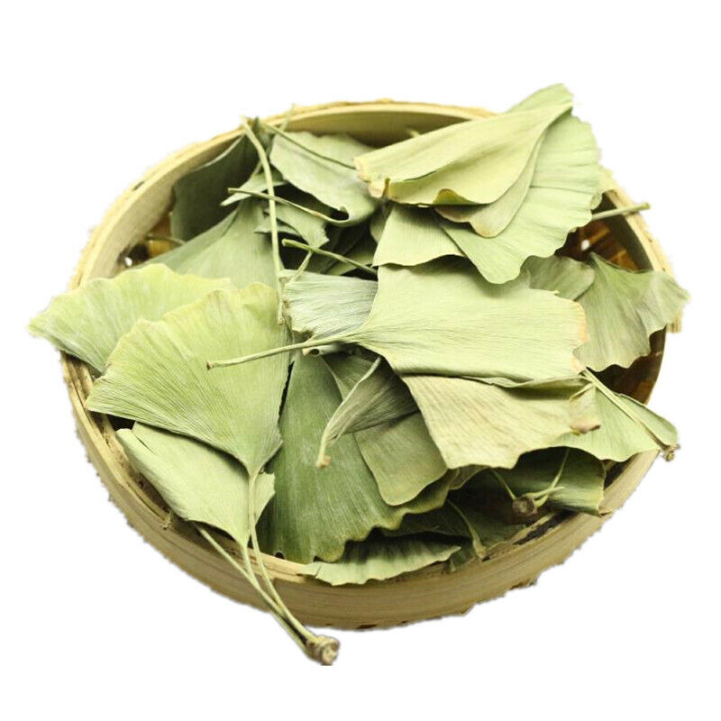 Ecology Herbal Green Tea Health Care Ginkgo Biloba Leaves Tea Chinese Ginkgo Tea