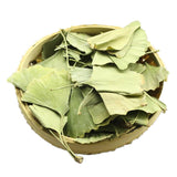 Ecology Herbal Green Tea Health Care Ginkgo Biloba Leaves Tea Chinese Ginkgo Tea