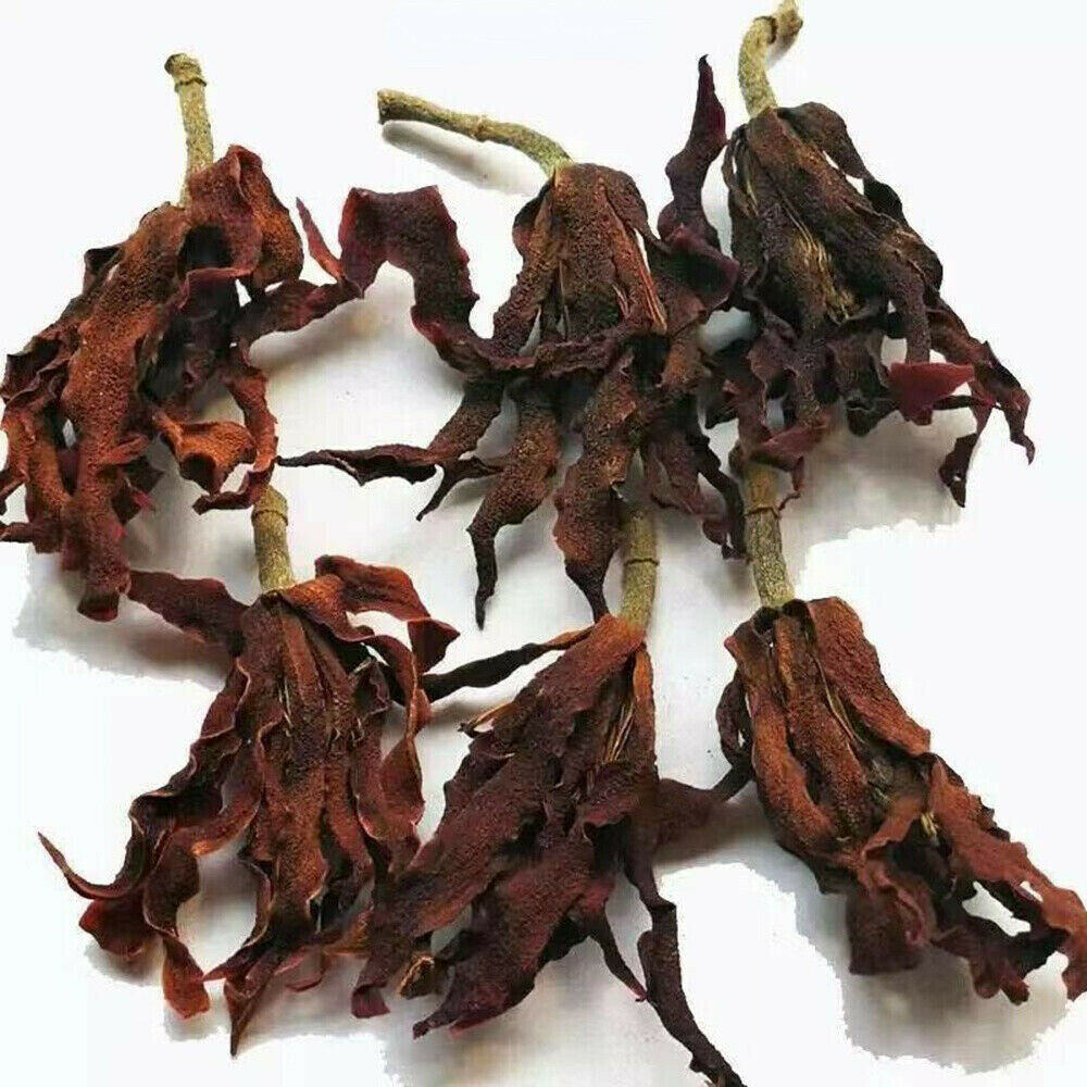 白玉兰花黄角兰 500g Magnolia Flower Yulan MICHLIA Herbal Tea Phlegm Cough Anti-allergy