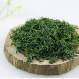 Ku Ding Herbal Organic* Small Leaf Wild Kuding Tea Qing Shan Lu Shui Bitter Tea