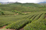 Topgrade Dian Hong Famous Yunnan Black Tea Dianhong TEA 58 Series Black Tea 250g