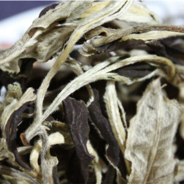 Yunnan Jing Gu Cha Puer Tea Moonlight White Buds Pu'er Puerh Loose Leaf Tea 100g