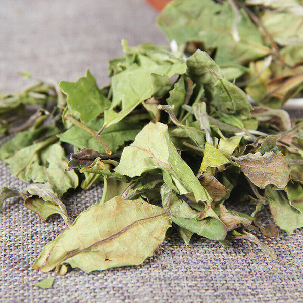 Organic Loose Leaf White Tea White Tea Top Yunnan Big Leaf Honey Flavour 500g