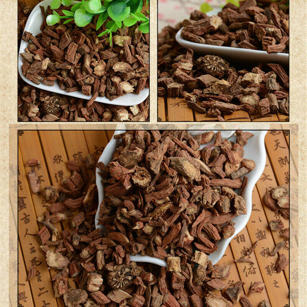 Dan Shen Root (Salvia Miltiorrhiza)Chinese Herbal Medicine Tea Red Sage Ecology