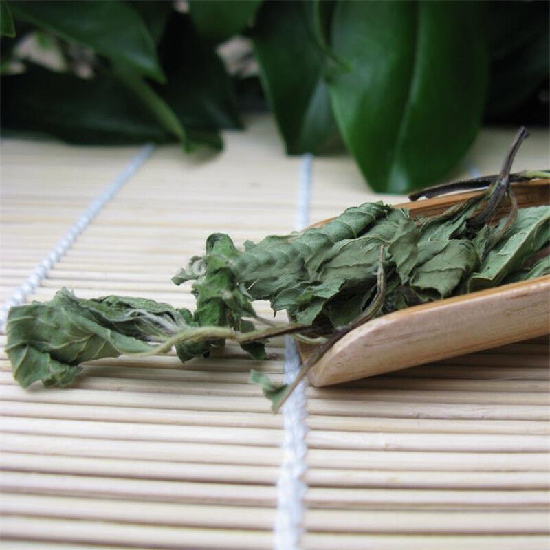 Premium Cool Mint Tea Herbal Tea Reduce Liver Fire Mint Leaves Wild Mint tea 50g