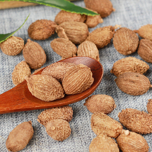 Featured Amomum Sharen Natural Organic Herbs Chinese Specialty 砂仁 250g/500g