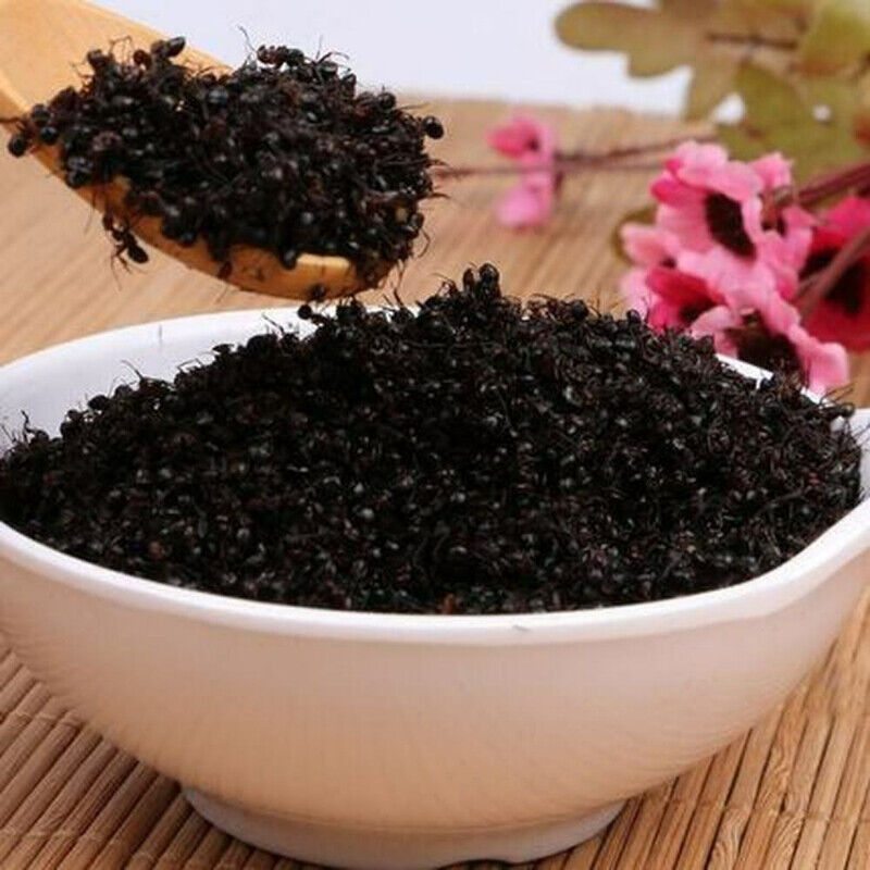 Black Ant Vic Roger Polyrhachis Premuim China Wild Chang Bai Shan Mountain 500g Main image
