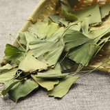 Ecology Herbal Green Tea Health Care Ginkgo Biloba Leaves Tea Chinese Ginkgo Tea