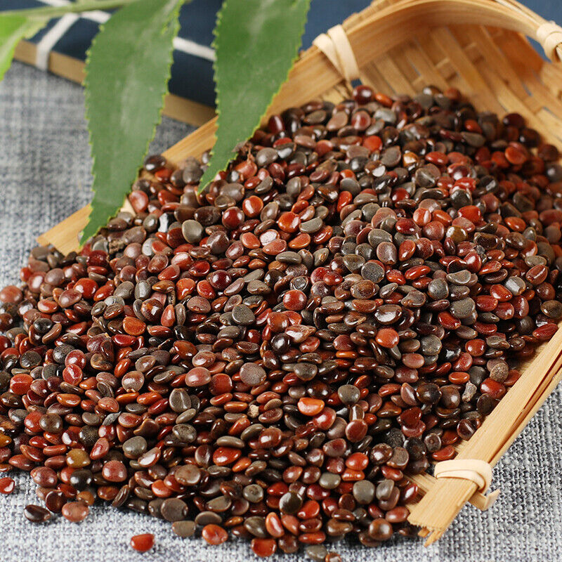 Chinese Specialty Zhijuzi Chinese Organic Herbs High Quality 250g/500g 枳椇子 Main image