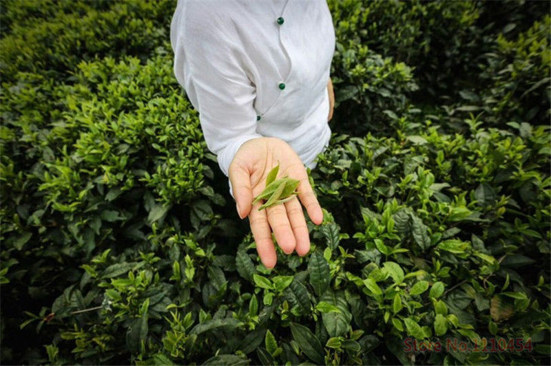 TemuTea 200g Lichee Black Tea Lychee Flavor Congou Kungfu Tea Fruit Red Tea Healthe Care