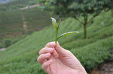 250g Famous 58 Series Black Tea Premium Dian Hong Yunnan Black Tea Dianhong Tea