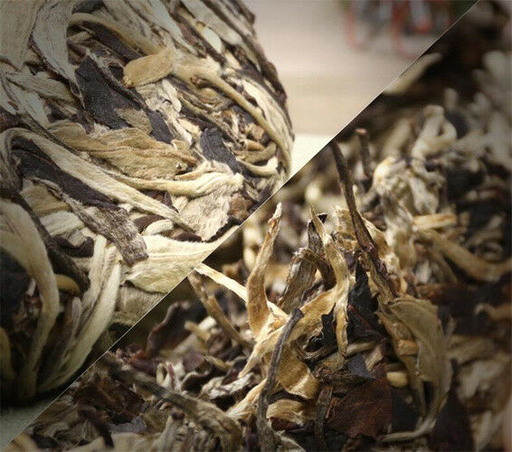 Raw Puerh Tea Organic Moonlight Beauty Menghai Puer Moonlight Sheng Pu-erh 357g