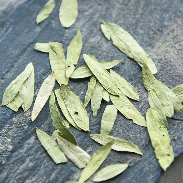 Flower Tea Pure Natural Non-flower Tea for Senna Leaf Panxie Powder Herbal Tea