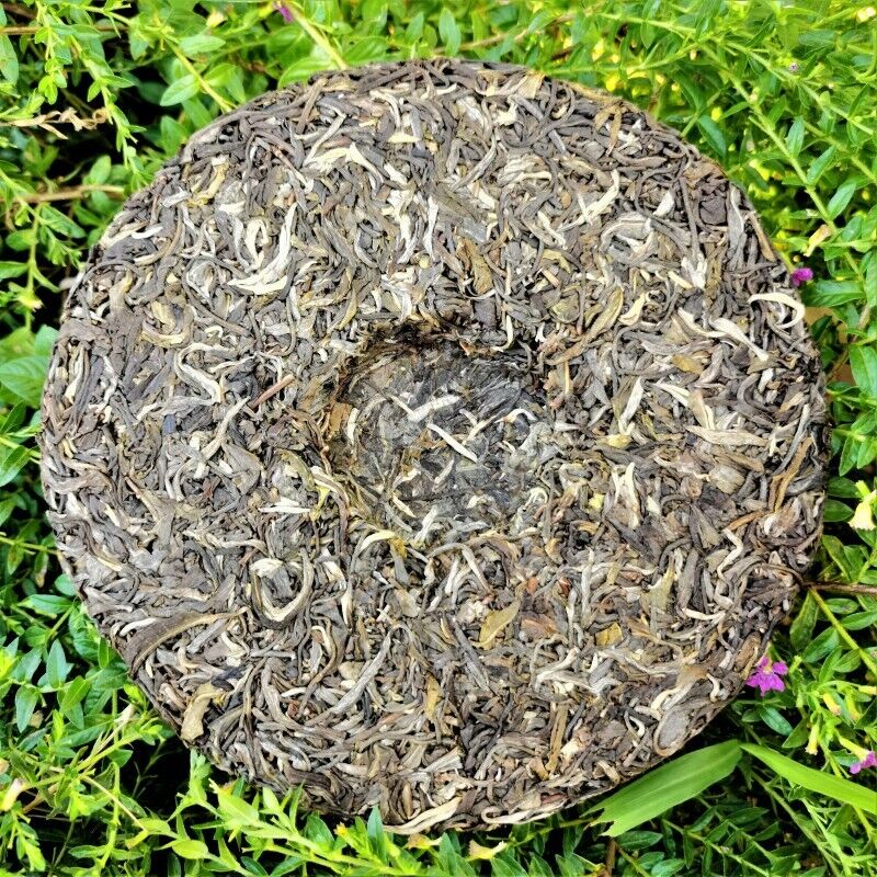 Zhonghong India Mint Tang Pu'er Tea Ancient Tree Pu'er Green Tea 357g Main image