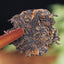Pressed Tea Ancient Tree Puer Black Tea Cake Yunnan Organic Ripe Puer Tea 100g