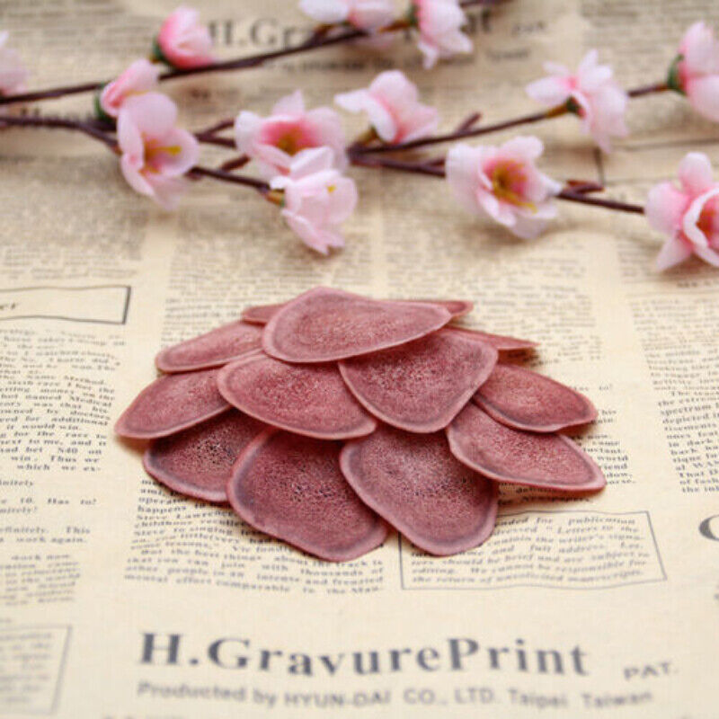 100% Ecology Cartialgenous Slices Lu Rong Herb for Men Chinese Herbal Medicine