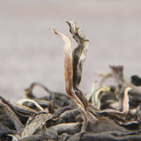 Pu'er Loose Tea Top-Grade Ancient Tree Tea Yiwuchun Tea Organic Sweet Rhyme 500g