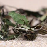 500gFuding White Tea Floral Fragrance Bulk White Tea White DewAutumn Tea