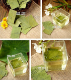 Organic Green Tea Health  Chinese Herbal Tea Ecology Lotus Leaf Tea 30g