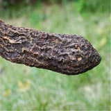 Rou Song Rong Sinkiang Wild Desertliving Cistanche Ecology Herb Tonic500g/1000g