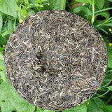 Zhonghong Yin Bow Ancient Tree Tea Yiwu Wanggong Pu-Erh Spring Tea Cake 357g