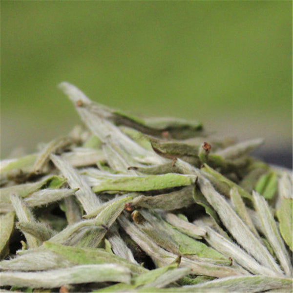 300g Old Fuding white tea cake natural organic Chinese white tea silver needle