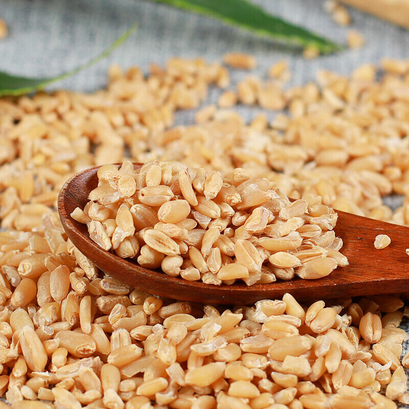 Original Healthy Herbal Tea Selected High-quality Healthy Herbal Wheat 500g精选浮小麦
