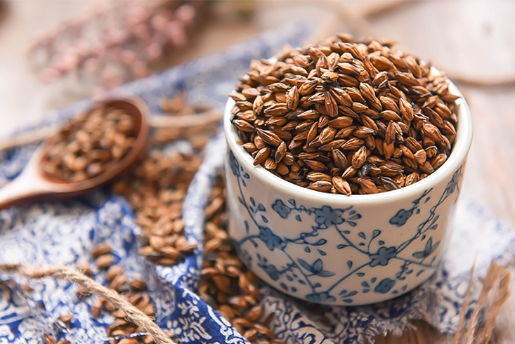 Roasted Barley Tea Caffeine-Free Tea Itoen Japanese Roasted Barley Tea Mugicha