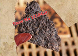 Pressed Tea Ecology Black Tea Yunnan Pu-Erh Tea Brick Organic Cooked Puer 250g