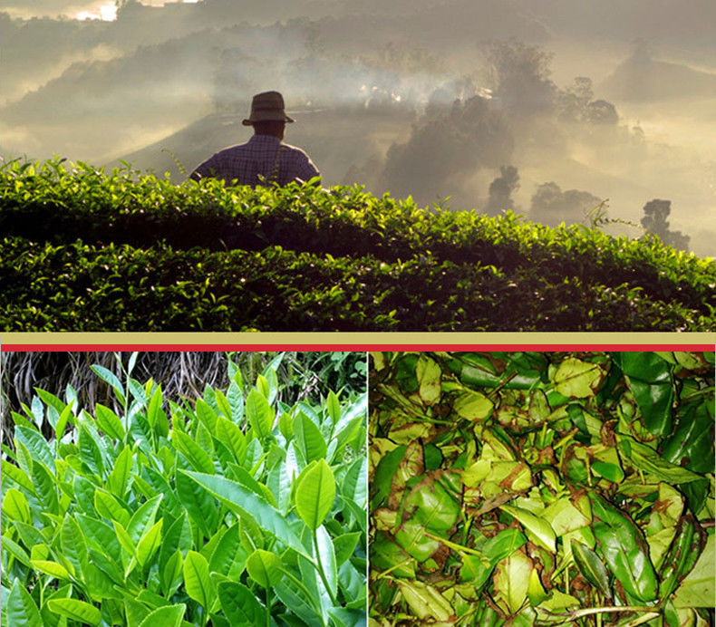 TemuTea 90g China Yunnan Dian Hong Tea  Black Tea Red Box Gifts Tea Spring Feng Qing Fragrant
