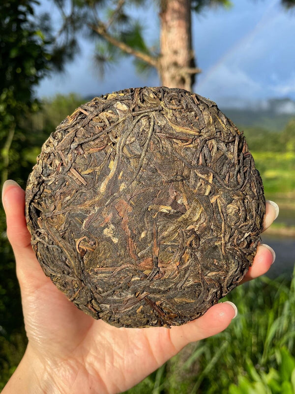 Rare Icelandic Ancient Tree Pu-erh Tea Fat Scraping Raw Tea Sweet 100g