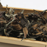 Health Care Shoumei Gaoshan Bulk Date Aroma White Tea Fuding White Tea 500g