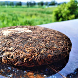 Organic Tea Ancient Tree Pu'er Tea Zhonghong Ying Yunnan Qizi Cake Tea 357g