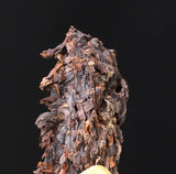 Pu-erh Health Care Black Tea Yunnan Pu'er Ripe Tuocha Menghai Ancient Tree 500g