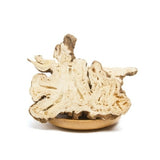 100% Natural In Bulk Chinese Atractylodes Lancea Rhizome DriedBaizhu Herbal Tea