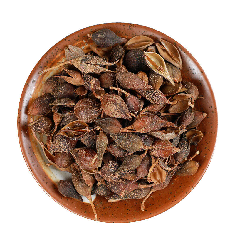 Health  Tea Chinese Specialty Featured Forsythia Lianqiao 250g /500g 连翘
