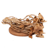 Chinese Herbal Agrocybe Cylindracea New Premium Dried Tree Mushroom 250g/bag