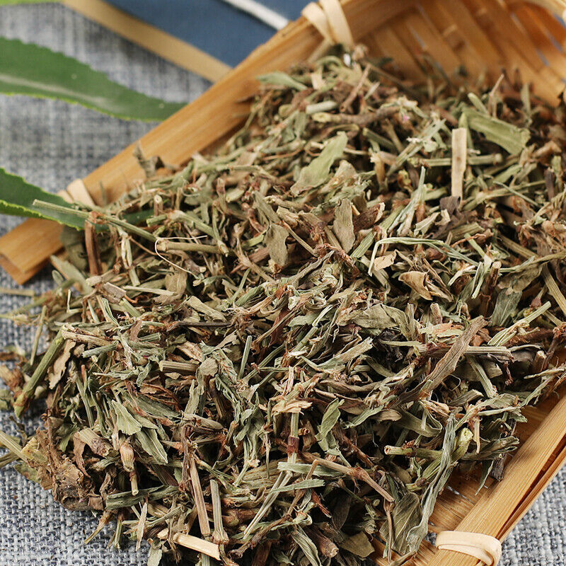 Healthy Herbal Tea Health Care Bianxu High Quality Original 萹蓄 250g/500g